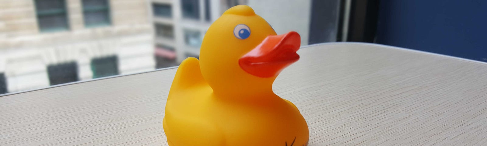 8th Light Rubber Duck