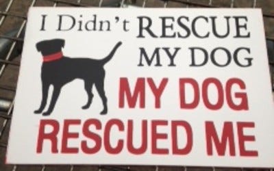 Plaque with dog logo and the words: I Didn’t Rescue my Dog, My Dog Rescued me