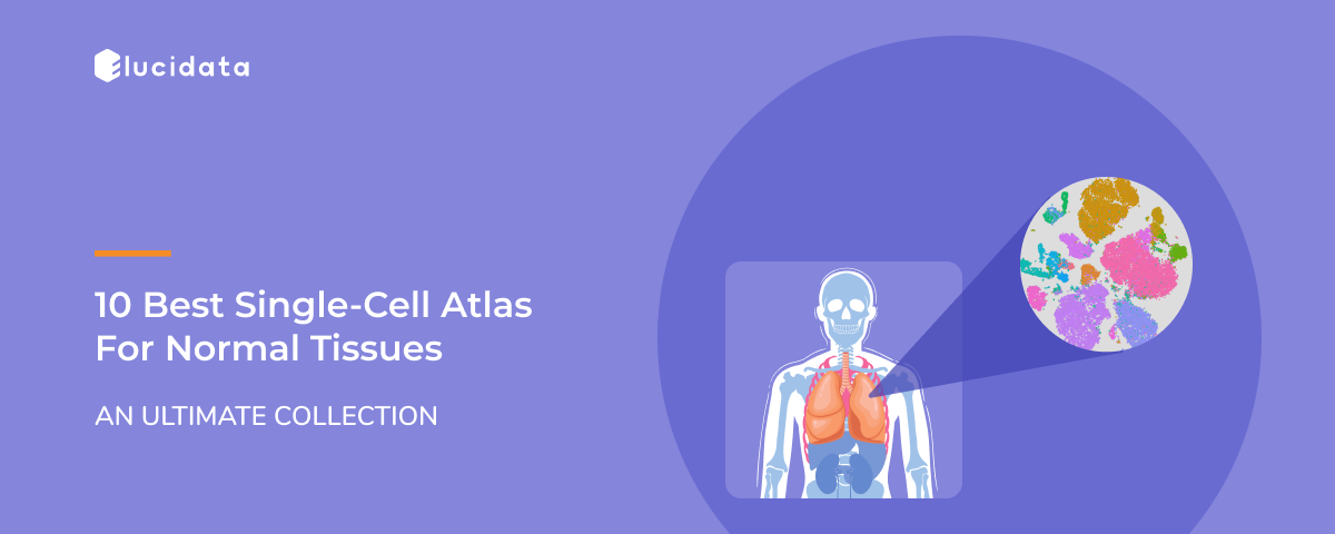 Top 10 Latest Single-cell Atlases for Normal Tissues