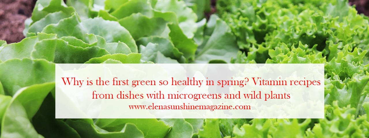 Why is the first green so healthy in spring?