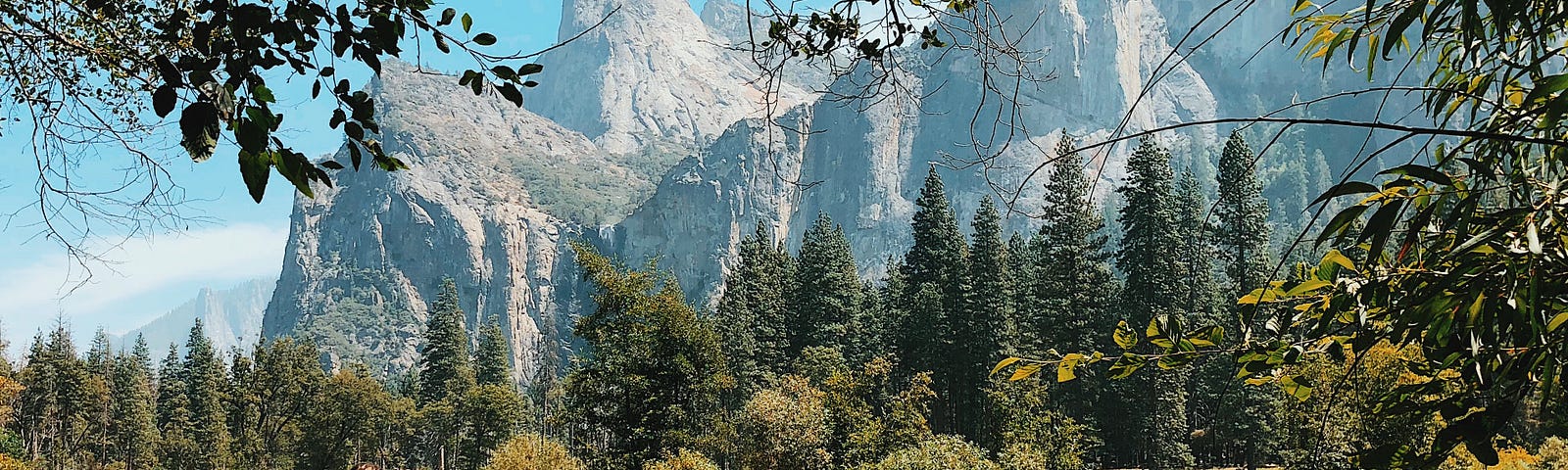 Woman sitting on log looking out over lake and seeing pine trees and mountains in national park setting.