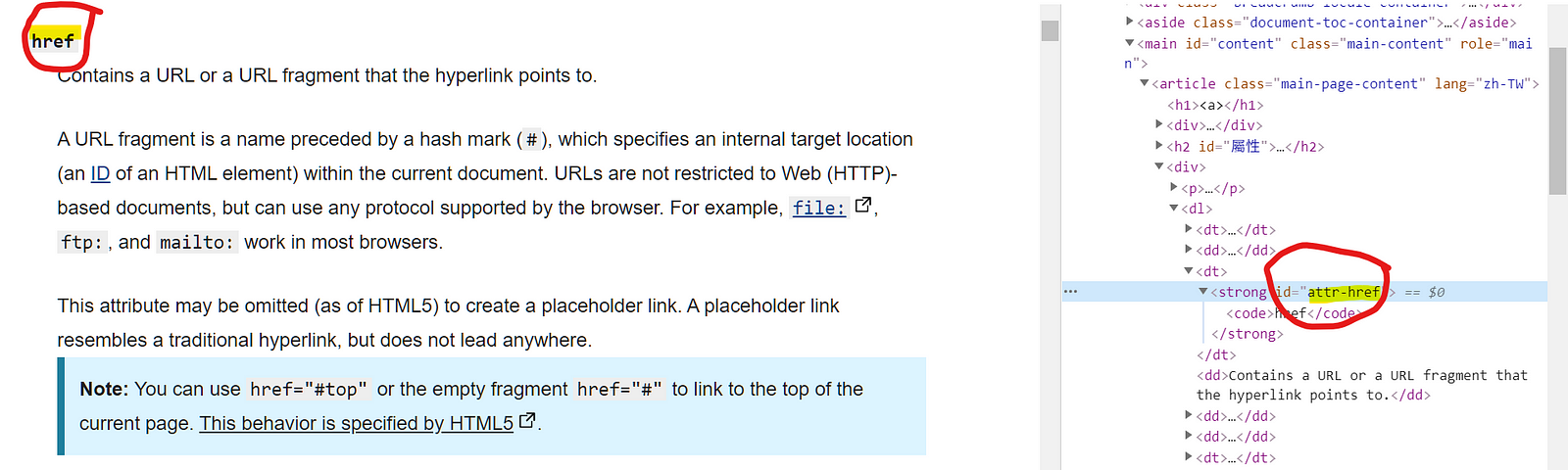MDN網站的示意圖，顯示href=”#href”
