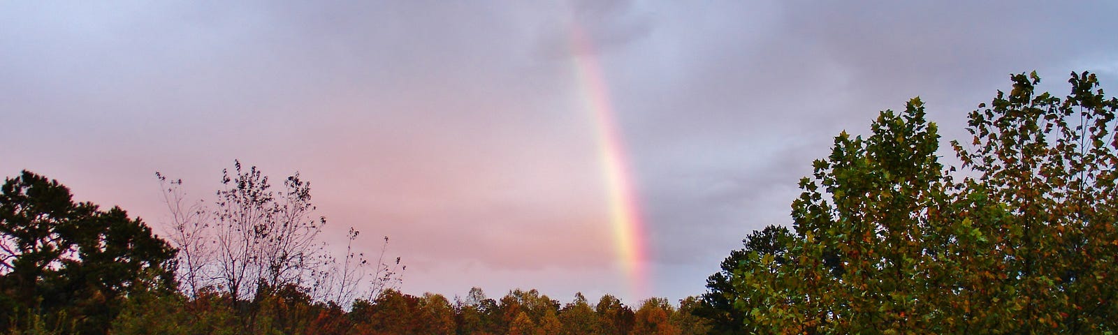 Rainbow against dark sky, trees at bottom.