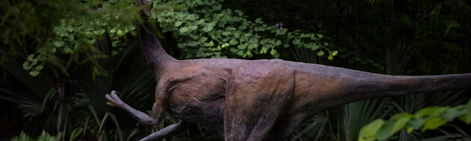 Image of a Velociraptor among greenery.