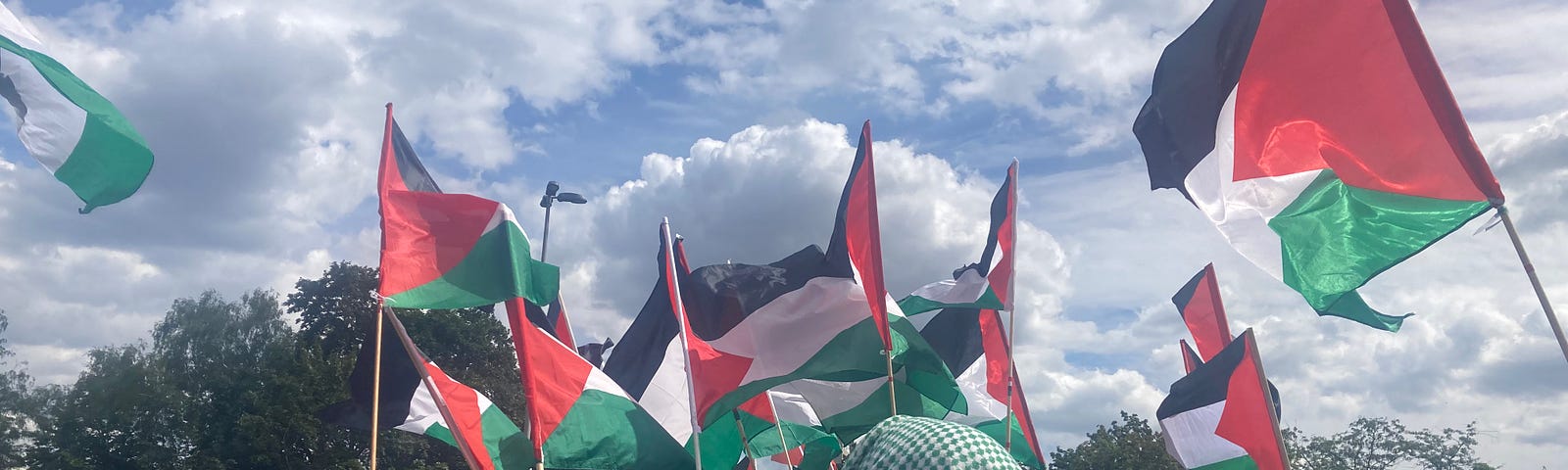 A protestor wearing a green keffiyeh stands with his hands cupped around his mouth amidst Palestinian flags