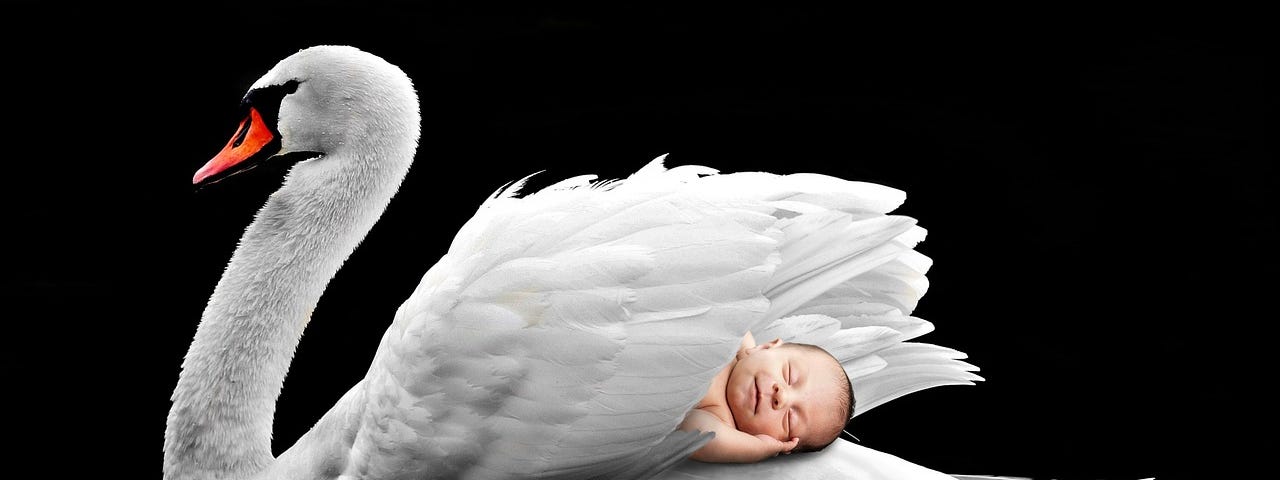 a baby sleeping on the back of a swan