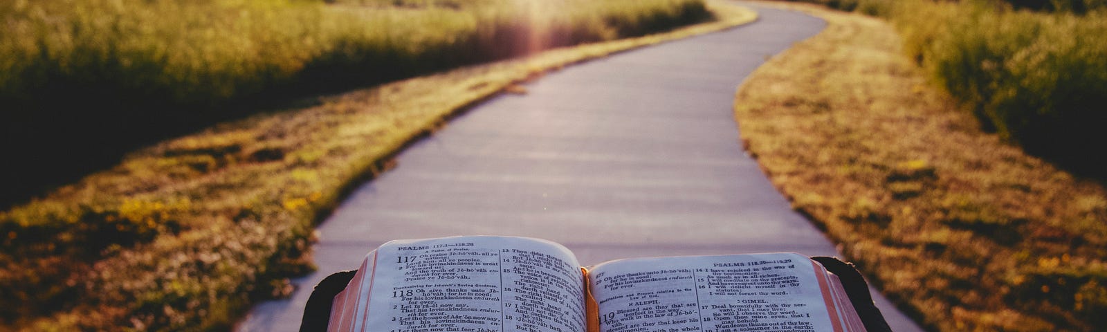 Book held up in front of a path on a country road