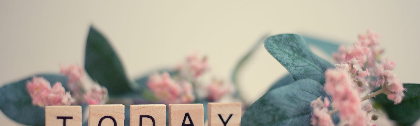 The word Today presented in Scrabble tiles infront of a string of little pink flowers.