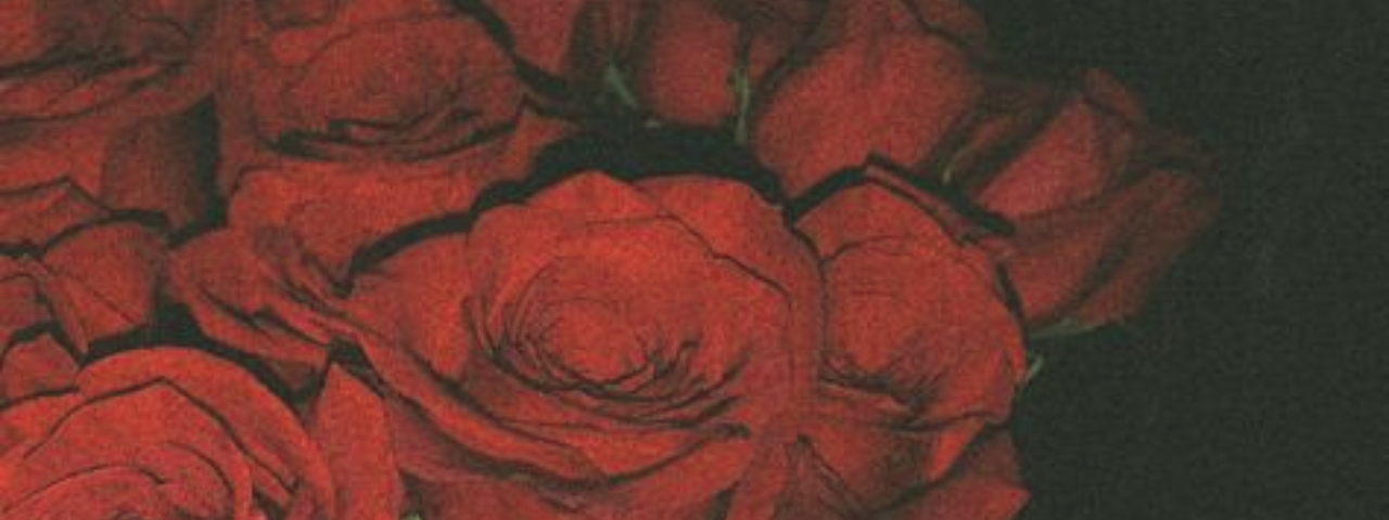 Image of red roses.