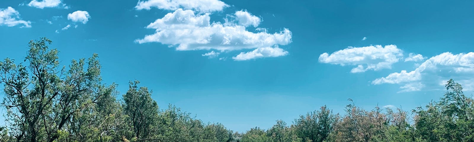 A canal with blue sky above