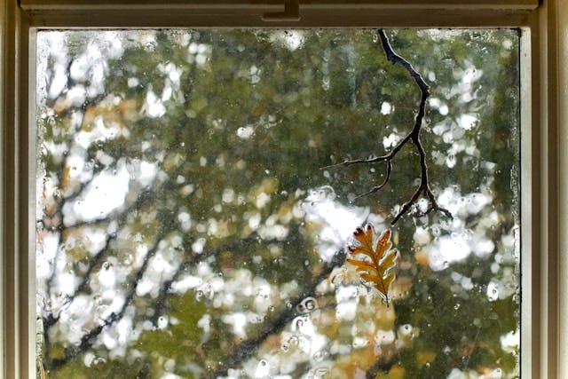 A blurry, wet autumn view from an old window