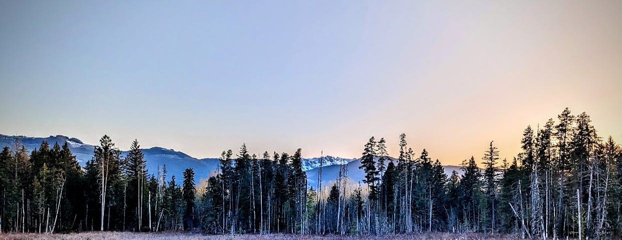 Sunset on Vancouver Island- you can see the mountains in the distance, and trees. There is a small lake or pond that reflects the trees and the sky