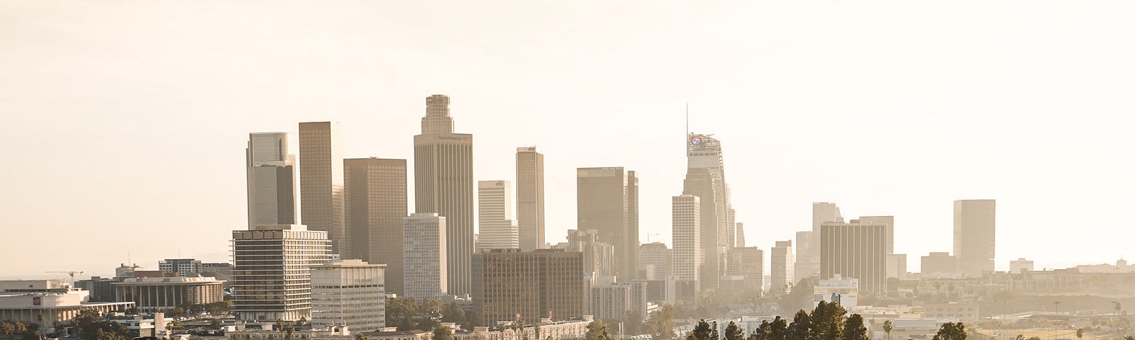 Picture of LA skyline in background and a neighborhood in the foregroundd