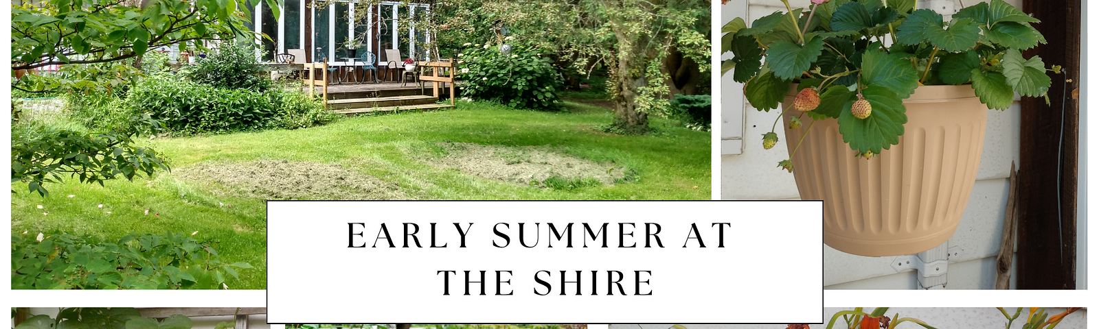 Early summer photo gallery at White Rose Shire