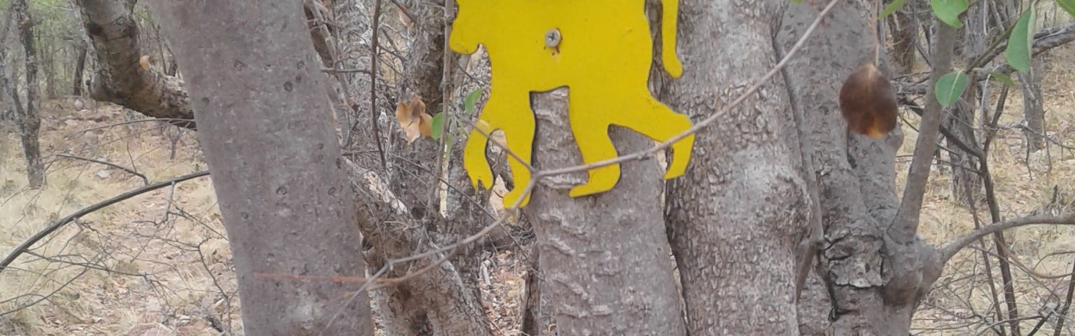 A yellow baboon-shaped signboard and arrow, nailed to a tree, indicating a hiking trail in the bush