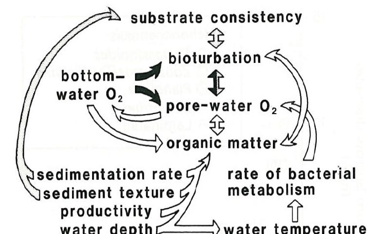 Gambar 1. Hubungan yang kompleks antara sejumlah parameter lingkungan (Savrda dan Bottjer, 1994)