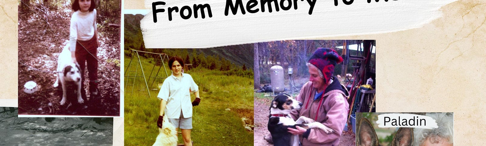 five photos of the author with 5 different dogs over her life.