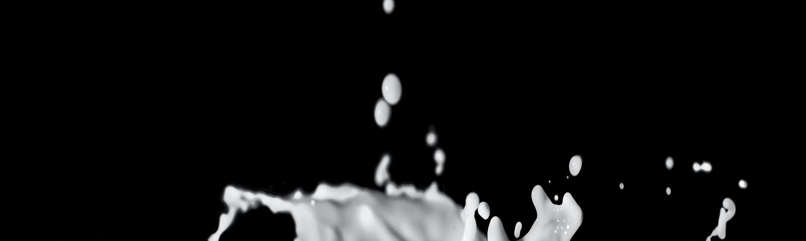 white splash of milk on black background, commercial dairy in the US