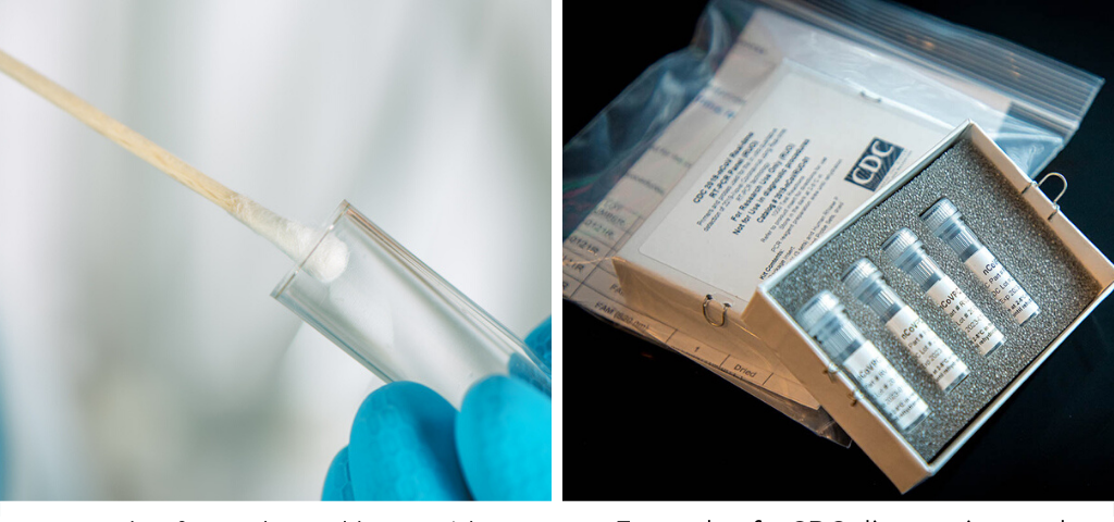 An image of a cotton swab in a test tube on the left and a CDC COVID-19 diagnostic panel on the right