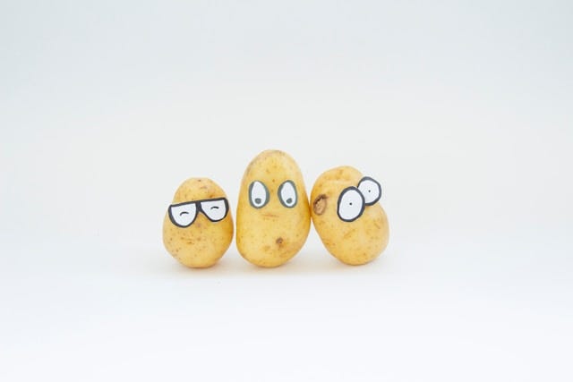 Three white potatoes with glasses and eyes drawn on them for fun