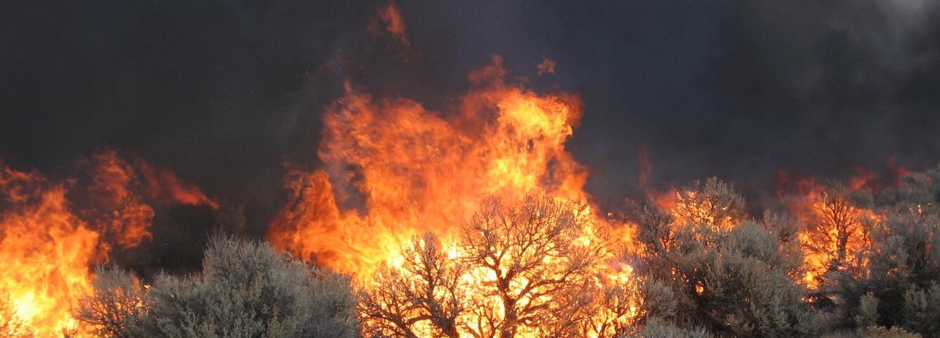 Wildfires blaze in Oregon’s Hart Mountain National Antelope Refuge. Image credit: Scott E Shaff