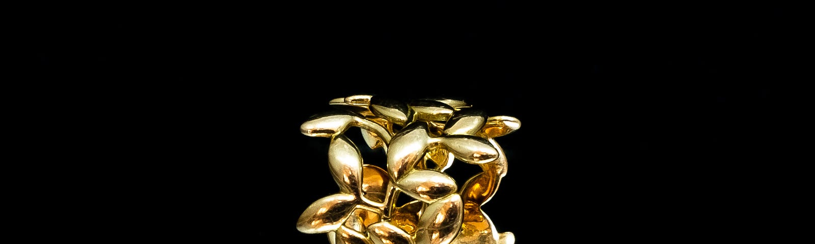 Olive leaf Paloma Picasso ring from Tiffanys. Photo by ©Sarah-Jane White