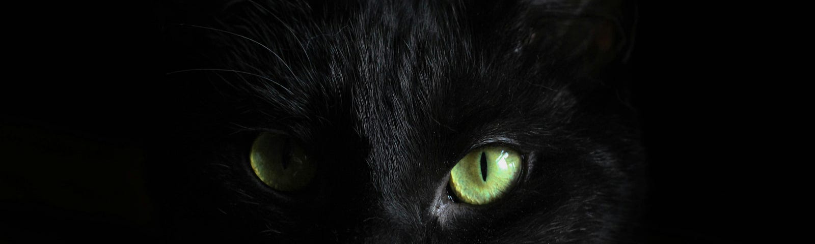Black cat with green eyes looking intense