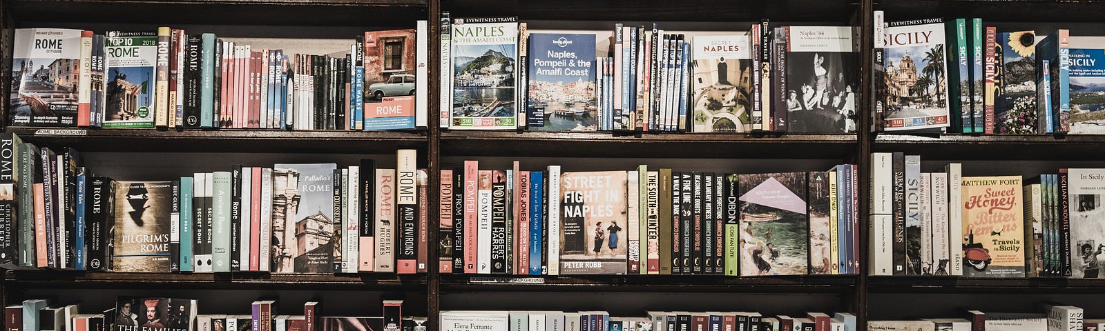 Books on shelves, with an emphasis on Roman and Italian travel and history
