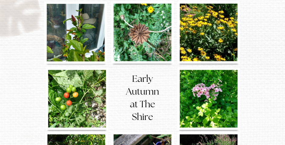 A photo gallery of a garden in Autumn.