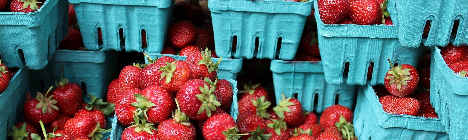 Photo: stacks of strawberries in vivid blue paper pint crates, a beautiful composition of two colours and shapes.