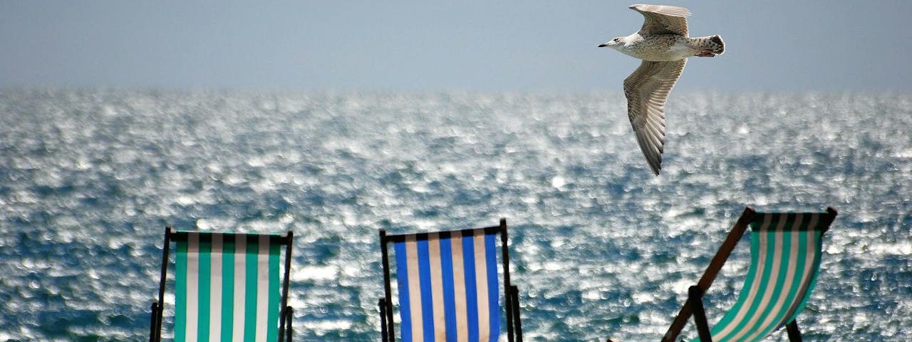 Three-green and blue stripy beach chairs on a pebbled beach with glittering waves in the background and a seagull flying by.