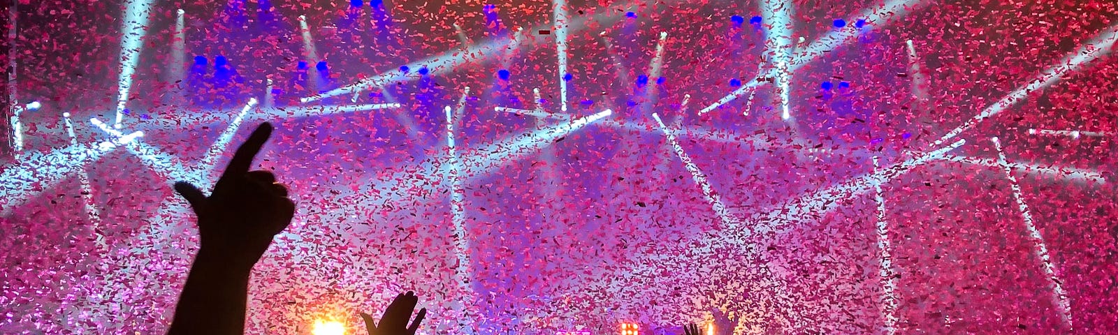 It’s a crazy concert with confetti in the air and pink and purple lights. People have their hands up in the air and they are having a great time!