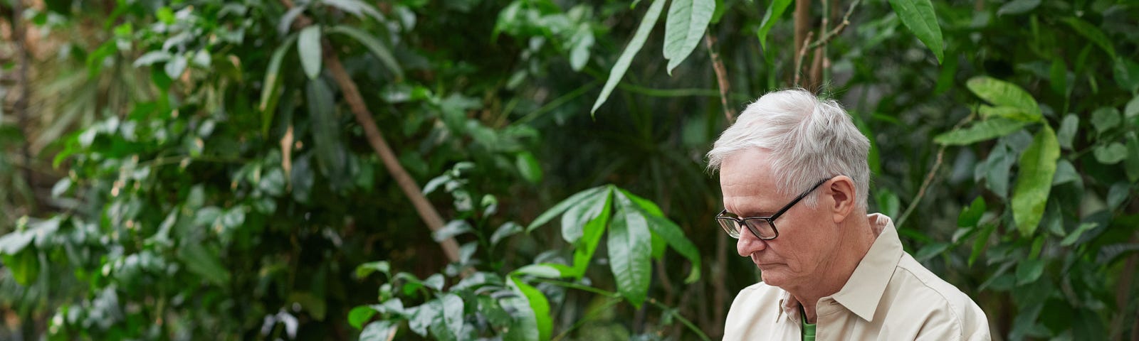 Elderly man sitting at a table with a laptop typing. There is a yellow cup behind the screen and green foliage around him.