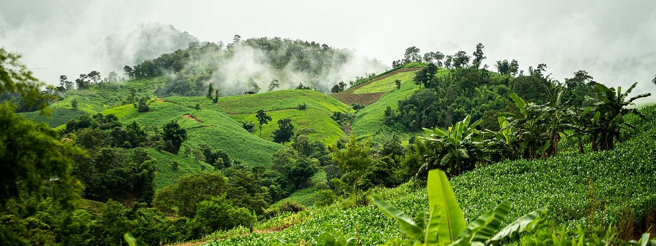 A background of lush greenery set against a cloudy, mist filled sky.