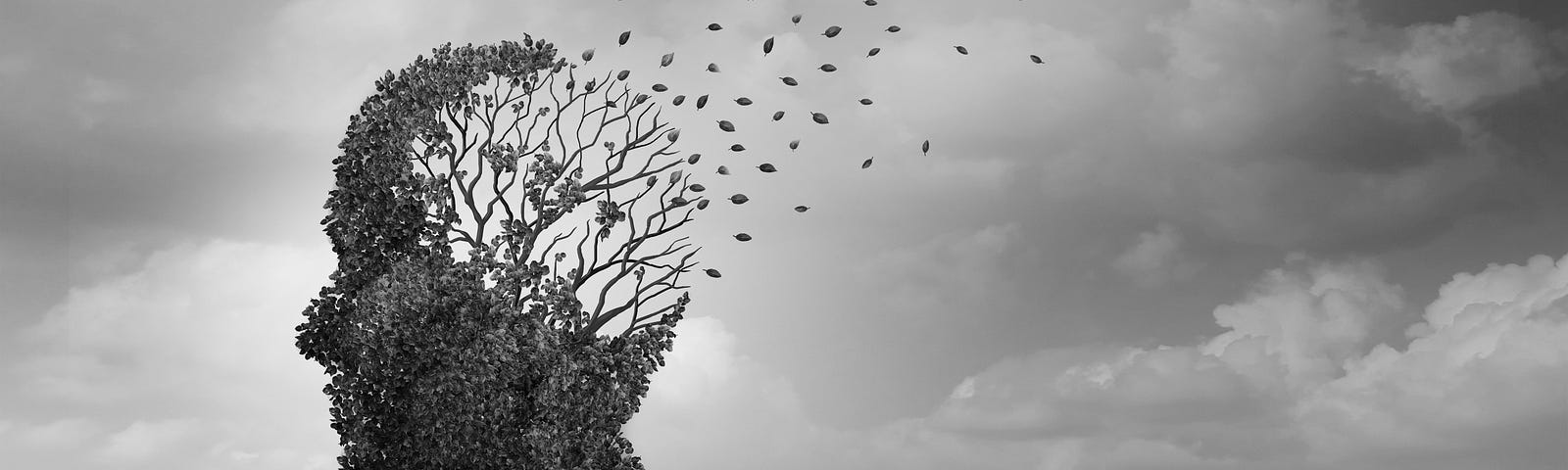 A black and white photograph of a tree, with the leaf canopy in the shape of a human head (in side view). The back part of the brain (leaves) is blowing away. A Mediterranean-style diet is associated with brain tangles and plaques that are associated with Alzheimer’s.