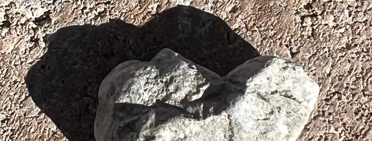 A rock in the shape of a heart.