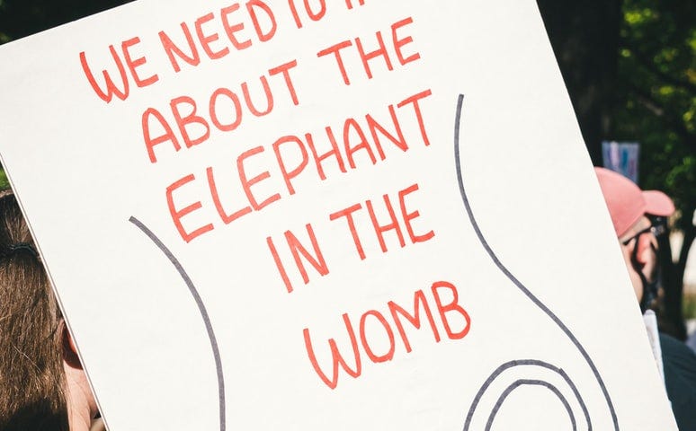A protestor holds up a sign that says, “We need to talk about the elephant in the womb.”