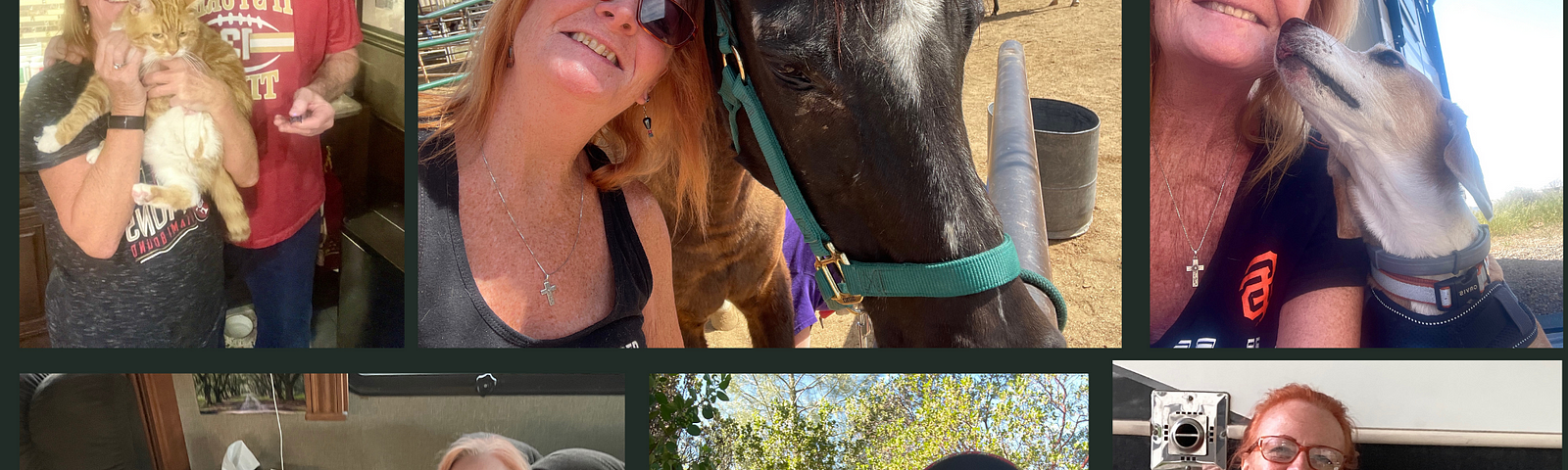 Getting our cat, Paddy to pose for a picture is tough. I was lucky my husband caught one of him on my lap. That’s my husband and me with our ornery boy in the top left hand corner. I’ve got lots of pictures with horses. I just love them. The dog selfies are with Howey, top right, Buddy lower middle, and my little pal in Florida, Oreo on the bottom right.