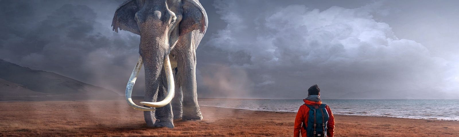 Backpacker approaches a massive elephant