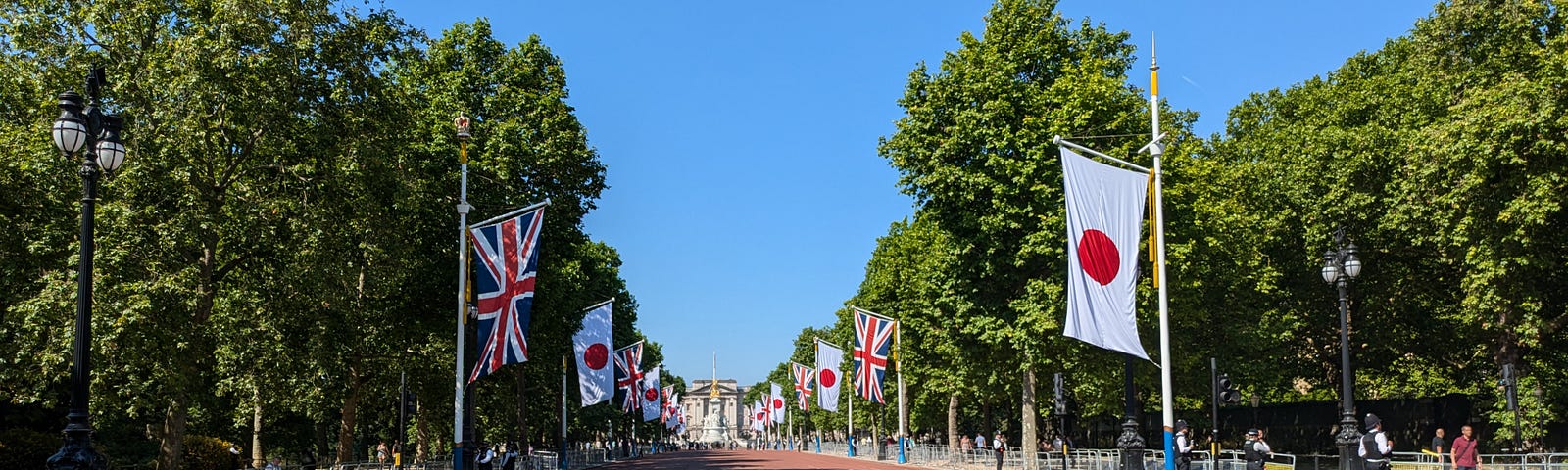 Pink street lined with trees and flags flying