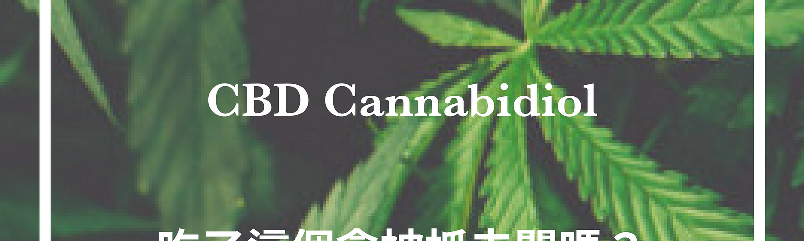 CBD台灣, CBD 香港, CBD油, CBD軟糖, CBD oil, CBD合法, CBD哪裏買, CBD憂鬱, CBD焦慮, CBD副作用, CBD癲癇, CBD失眠, CBD購買, CBD哪裏買, 大麻二酚, CBD 藥物測試, CBD 感覺