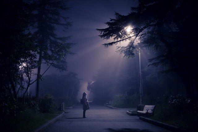 a person standing under a streetlight in the fog.