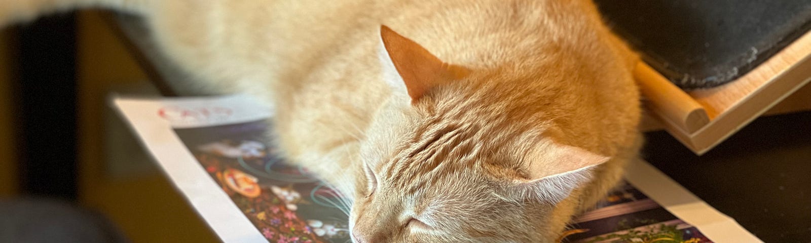 orange tabby cat sleeping on a poster puzzle on top of black table
