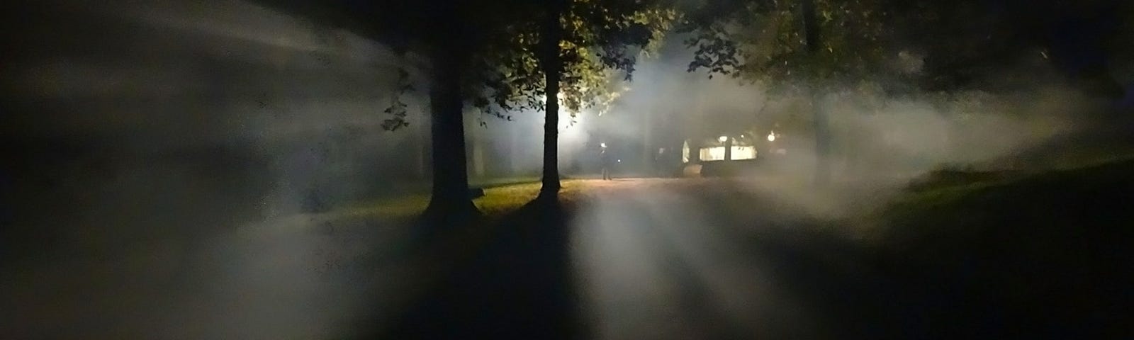 spooky foggy forest