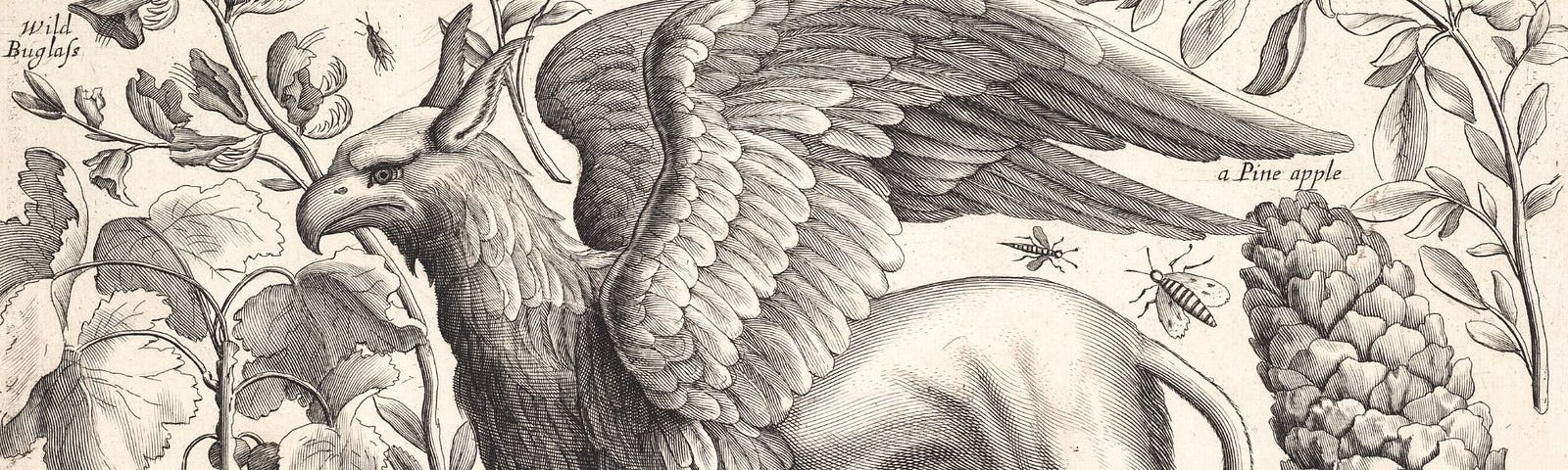 An intricate, vintage illustration of a griffin, a mythical creature with the body of a lion and the head and wings of an eagle, surrounded by detailed depictions of flora and insects, showcasing the artistic imagination in ancient mythology