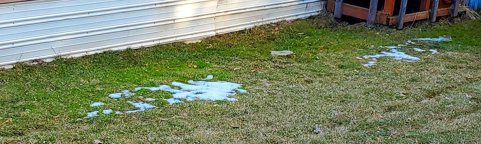 A yard with green and brown grass with a few spots of snow melting on it. A metal bird bath with peanut shells sits on the left of the picture and the bottom skirting and back steps of a mobile home are along the top.