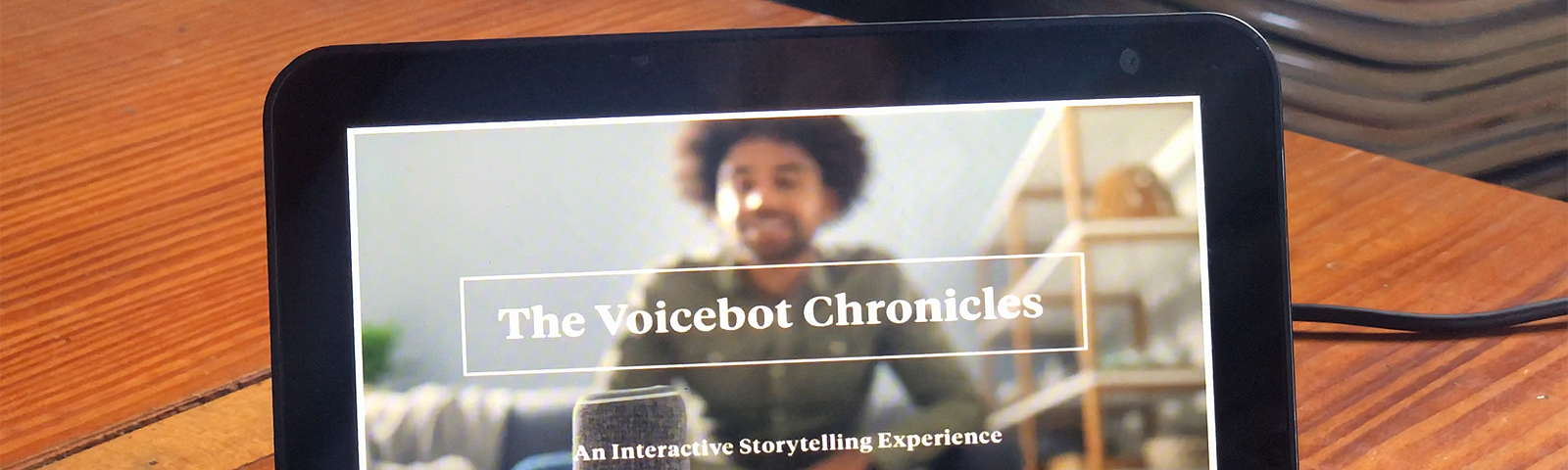 The Voicebot Chronicles