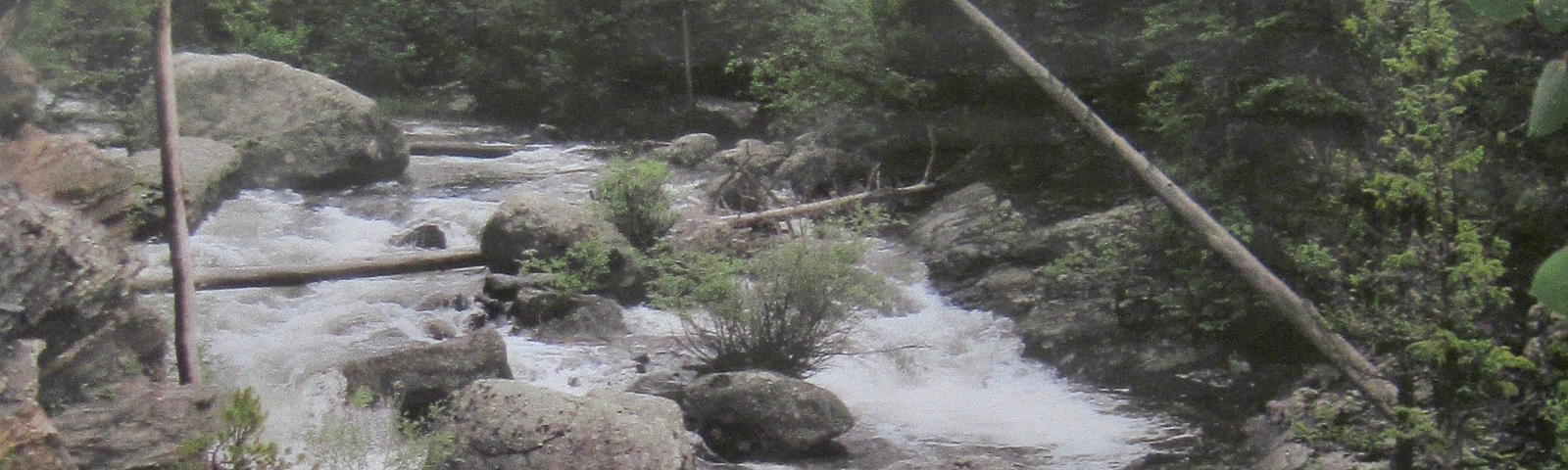 Photo of rushing mountain stream.