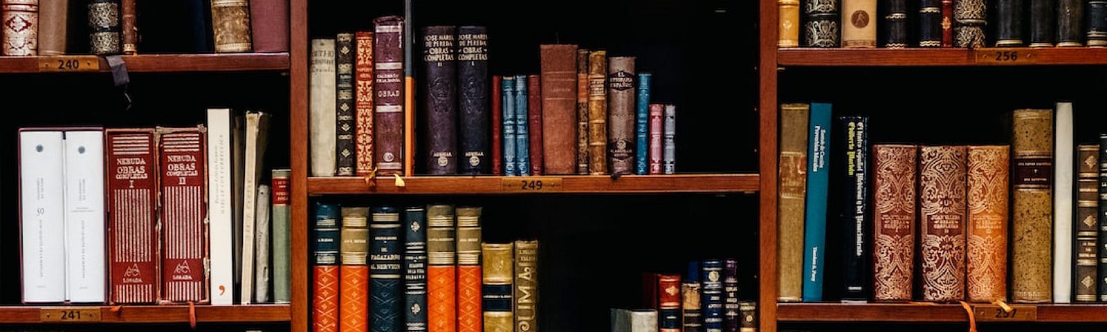 A bookshelf