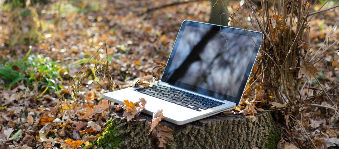 photo of a laptop on a tree trunk.